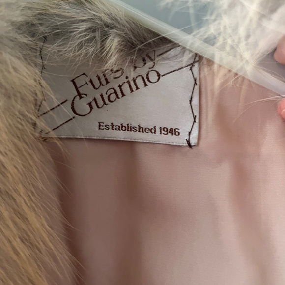 Beautiful Golden island fox coat - Picture 3 of 16